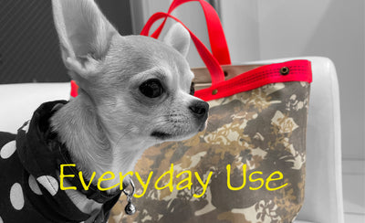 Everyday Use・・・！！！